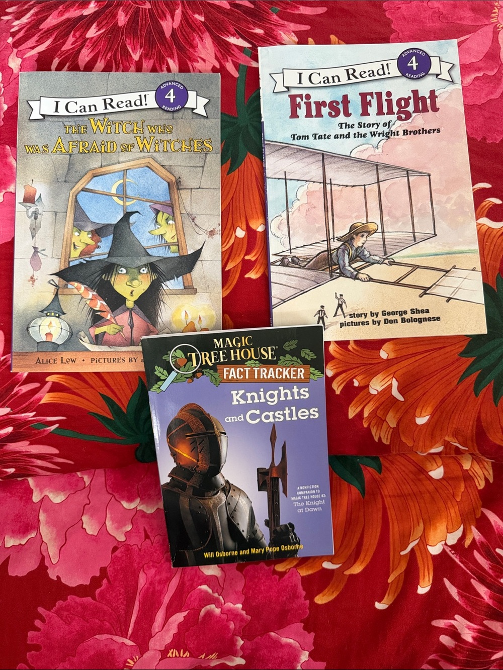 Level 4 - Advanced Reader Bundle